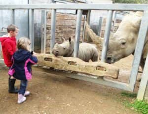 Henry and Molly meet baby Molly