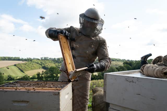 Jason Statham tries his hand at beekeeping during the filming of Sky Original The Beekeeper, in cinemas on 12 January. Beekeeping is set to become the hottest hobby trend of 2024 thanks to a host of celebrity fans, a study of 2,000 Brits has found.