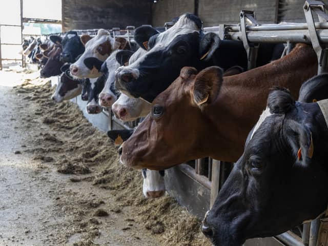   Farmers in Northern Ireland have been urged to be vigilant amid growing numbers of cases of the bluetongue virus in Britain and the Irish Republic.  