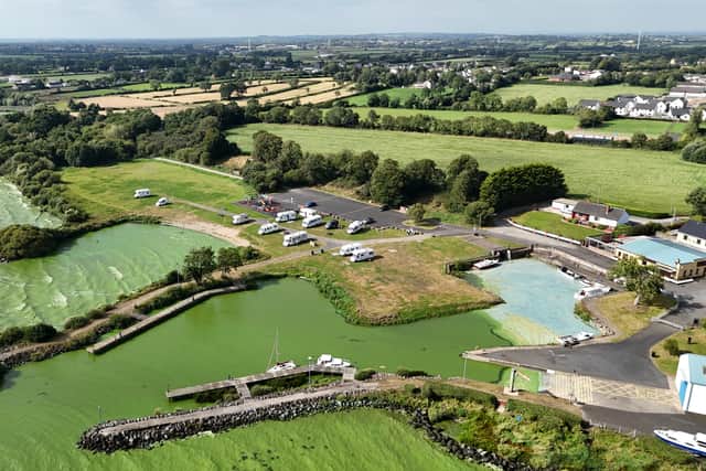 Blue-green algae at Battery Harbour on Lough Neagh (PA)