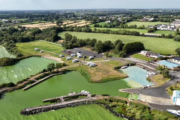 Blue-green algae at Battery Harbour on Lough Neagh (PA)