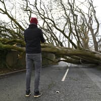New Northern Ireland weather warning issued as ‘damaging gusts’ to continue into next week - warning details
