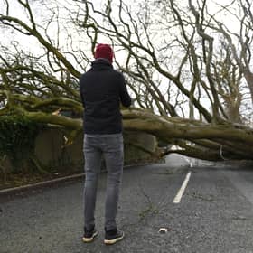 A fallen tree brought down during Storm Éowyn blocks the road in January 2025 in Holywood, near Belfast, Northern Ireland.