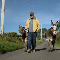 Less scrolling more strolling: Embrace Autumn Unplugged in Northern Ireland
