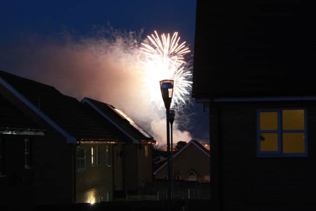 For dogs with established firework fears, longer-term approaches can include carefully managed desensitisation and counter-conditioning