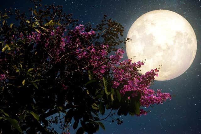 Each year, Easter Sunday is determined by the cycles of the moon. Picture: Shutterstock