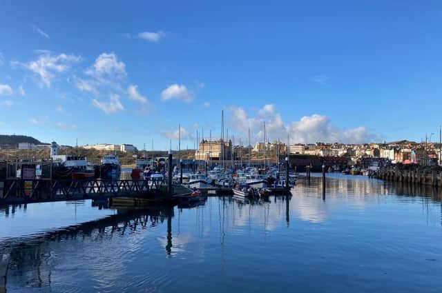 A beautiful sunny day in the harbour, captured by Faith Young
