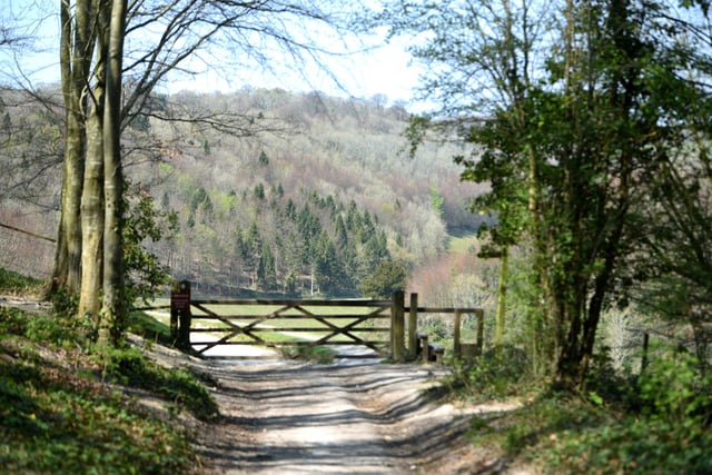 Dog walkers have plenty of routes in Sussex.