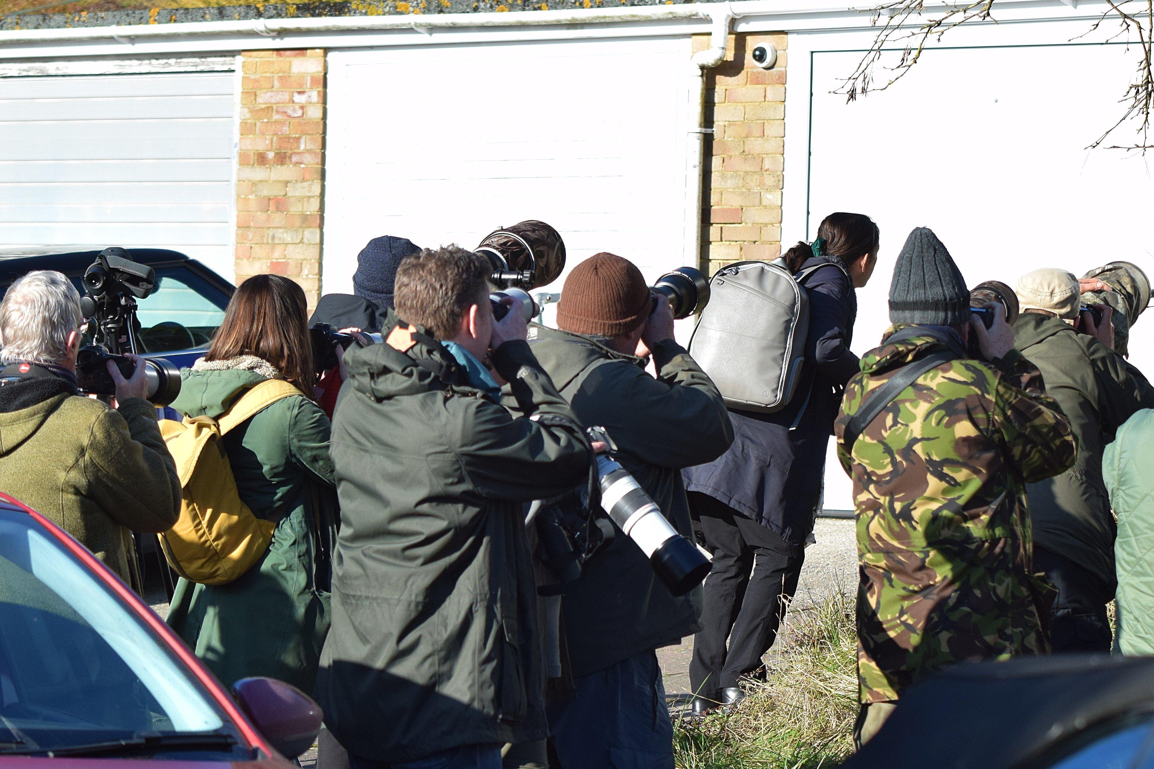 Visitors who came to Eastbourne to see the American robin. Picture from Dan Jessup SUS-221102-142907001