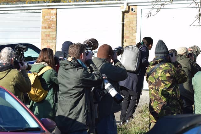 Visitors who came to Eastbourne to see the American robin. Picture from Dan Jessup SUS-221102-142907001