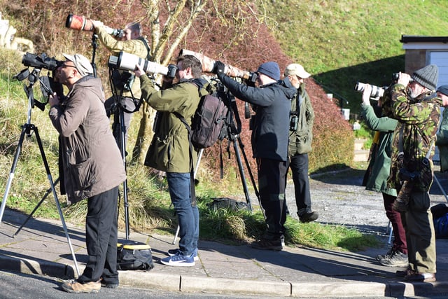 People looking for the American robin in Eastbourne. Picture from Dan Jessup SUS-221102-142706001