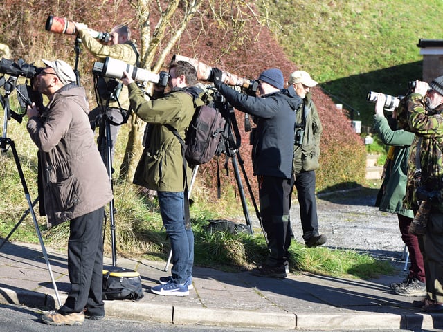 People looking for the American robin in Eastbourne. Picture from Dan Jessup SUS-221102-142706001