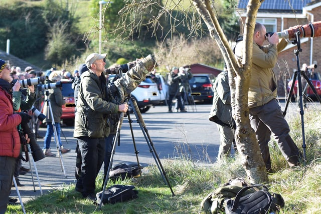 People looking for the American robin in Eastbourne. Picture from Dan Jessup SUS-221102-143901001