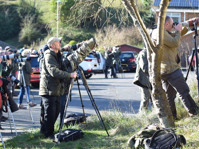 People looking for the American robin in Eastbourne. Picture from Dan Jessup SUS-221102-143901001