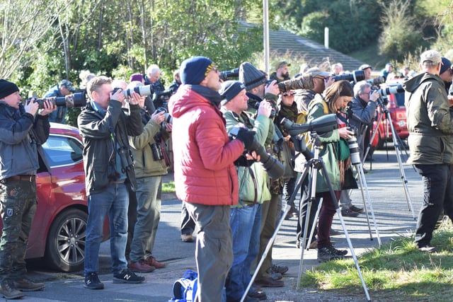 People looking for the American robin in Eastbourne. Picture from Dan Jessup SUS-221102-143933001