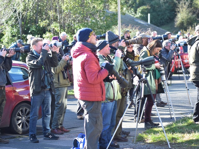 People looking for the American robin in Eastbourne. Picture from Dan Jessup SUS-221102-143933001