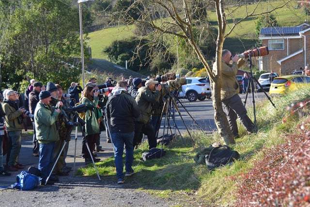 People looking for the American robin in Eastbourne. Picture from Dan Jessup SUS-221102-144609001