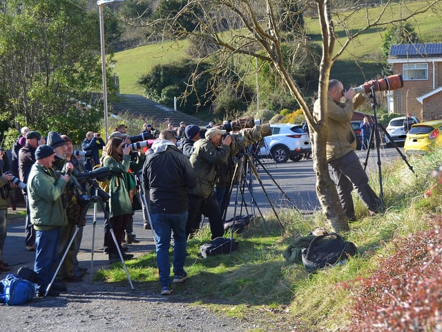 People looking for the American robin in Eastbourne. Picture from Dan Jessup SUS-221102-144609001