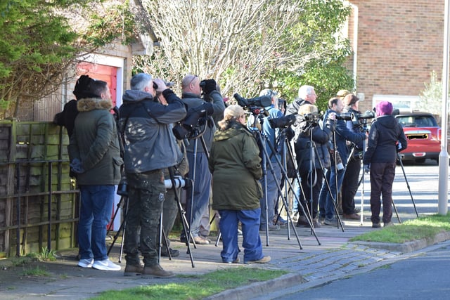 People looking for the American robin in Eastbourne. Picture from Dan Jessup SUS-221102-144720001