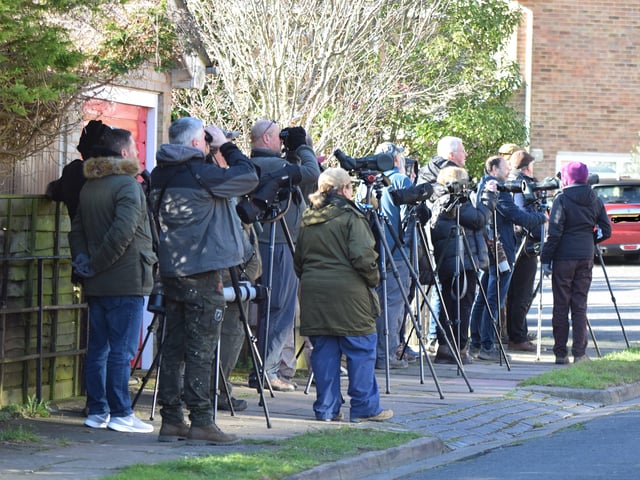 People looking for the American robin in Eastbourne. Picture from Dan Jessup SUS-221102-144720001