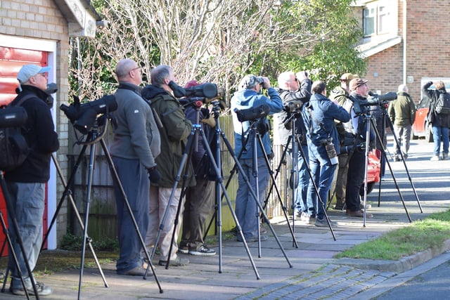 People looking for the American robin in Eastbourne. Picture from Dan Jessup SUS-221102-144657001
