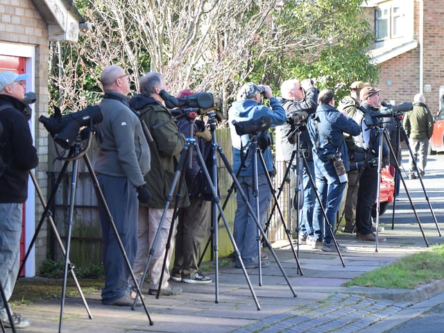 People looking for the American robin in Eastbourne. Picture from Dan Jessup SUS-221102-144657001