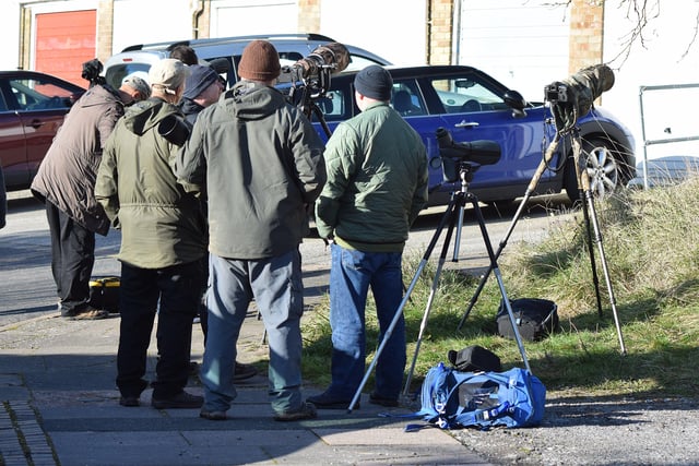 People looking for the American robin in Eastbourne. Picture from Dan Jessup SUS-221102-144633001