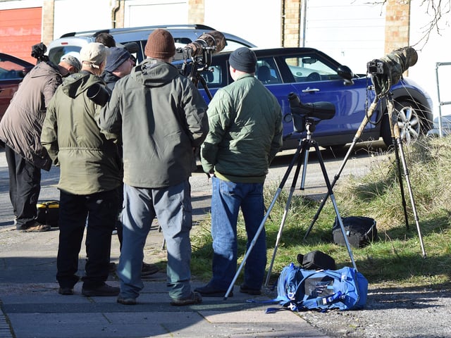 People looking for the American robin in Eastbourne. Picture from Dan Jessup SUS-221102-144633001
