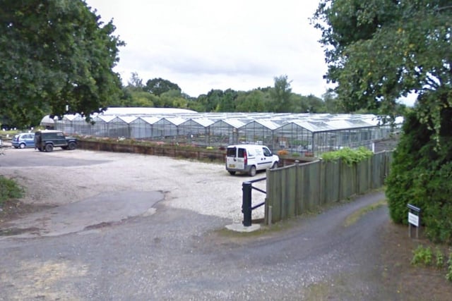 Village Nurseries is in Sinnocks, West Chiltington, and has a 4.7 rating from 50 Google reviews. One satisfied customer said it had 'a good selection of many plants and trees and shrubs' while another said it was 'so well organised in terms of Covid security'. Picture: Google Street View.