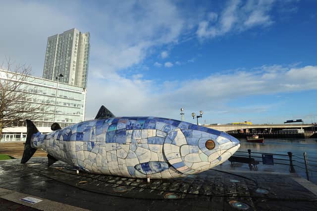 The incident occurred close to The Big Fish in Belfast City Centre