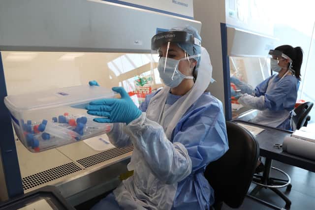Live samples in test tubes are held in a container during the opening of the new Covid-19 testing lab