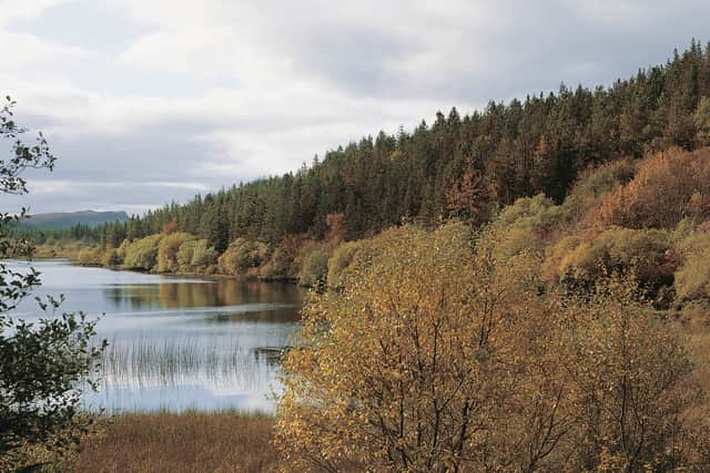 Lough Navar forest rises to the top of the Magho cliffs at a height of 1,000 ft. Here, there are spectacular views over Lower Lough Erne, Donegal Bay, the Blue Stack and Sperrin Mountains.