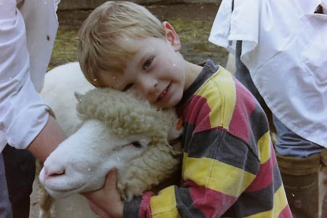 Four year old Peter Knowles from Ahoghill with one of his Manor Dorset sheep. Thanks to Downkillybegs Dorsets for the details for this old photograph