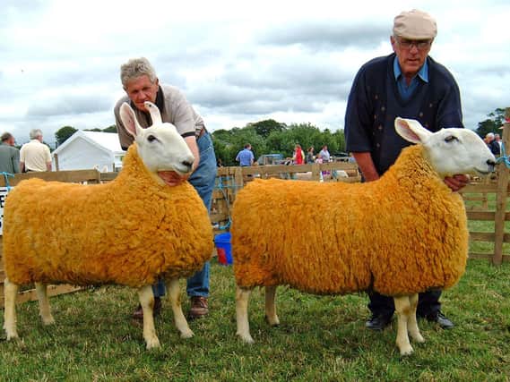 Pictured at a bygone Omagh Show