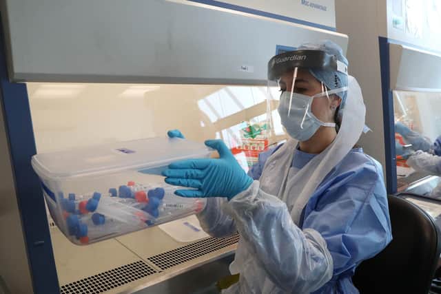 Live samples in test tubes are held in a container at a Covid-19 testing lab. Photo credit: Andrew Milligan/PA Wire