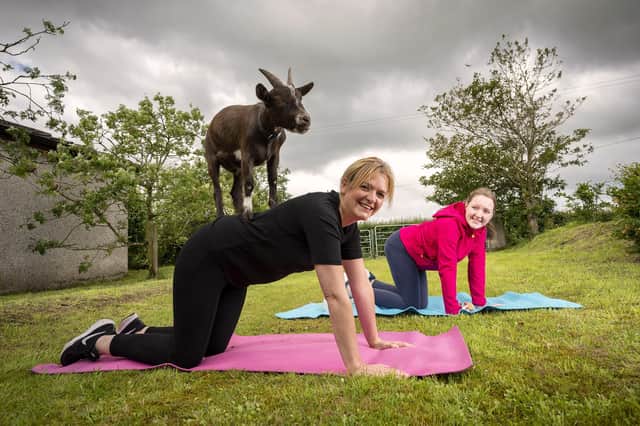 Wendy Gallagher and her daughter Lucy try out some Goat Yoga, which will be showcased at Castlescreen Farm in Downpatrick as part of Bank of Ireland Open Farm Weekend