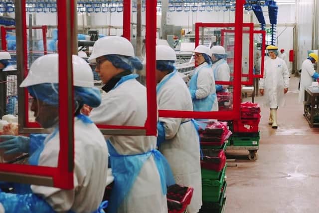 Workers on a production line at a local Moy Park factory with protective screeens in place