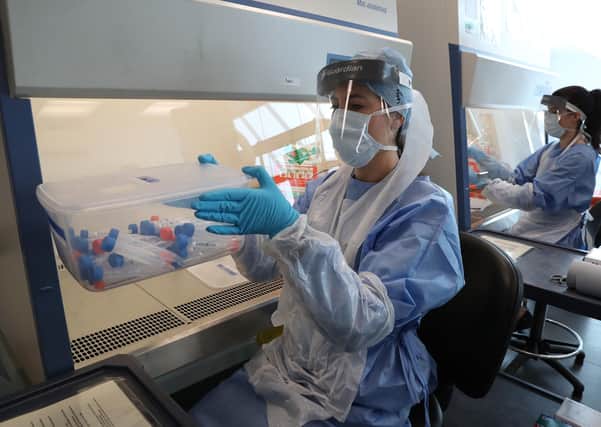 Samples are moved in a coronavirus testing facility