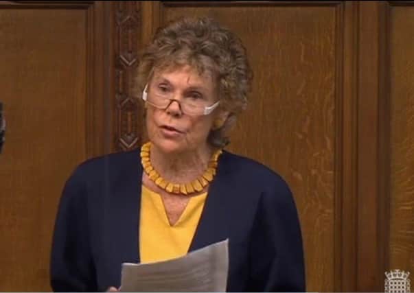 Kate Hoey speaking in the House of Commons