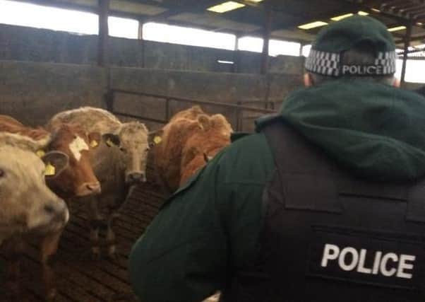 Police are concerned at an increase in livestock theft over last 12 months