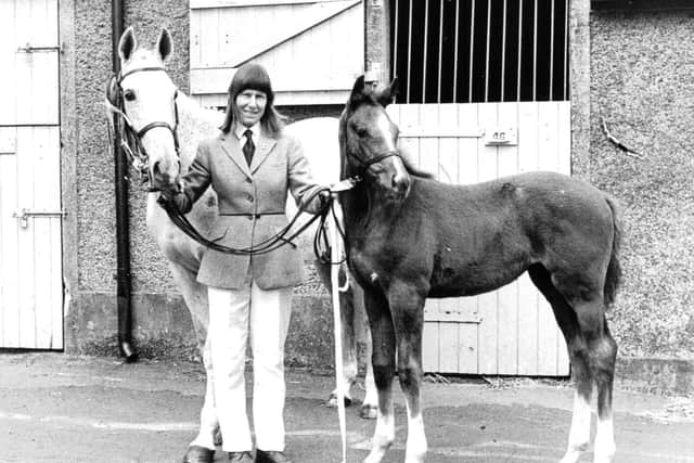Pictured during the 1980s at the RUAS Balmoral Show is the Honourable Mrs A L McCoubry with her champion thoroughbred mare and foal. Picture: Farming Life archives