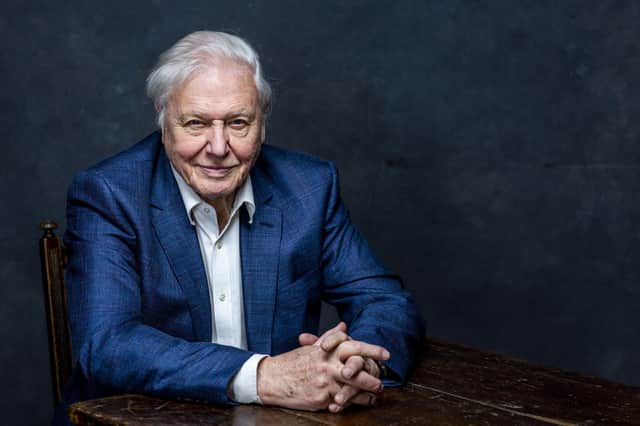 Sir David Attenborough combines extraordinary sequences from Planet Earth II and Blue Planet II with music