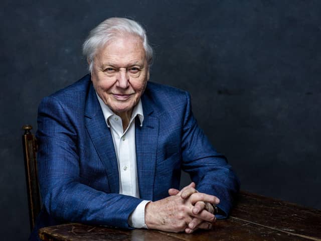 Sir David Attenborough combines extraordinary sequences from Planet Earth II and Blue Planet II with music