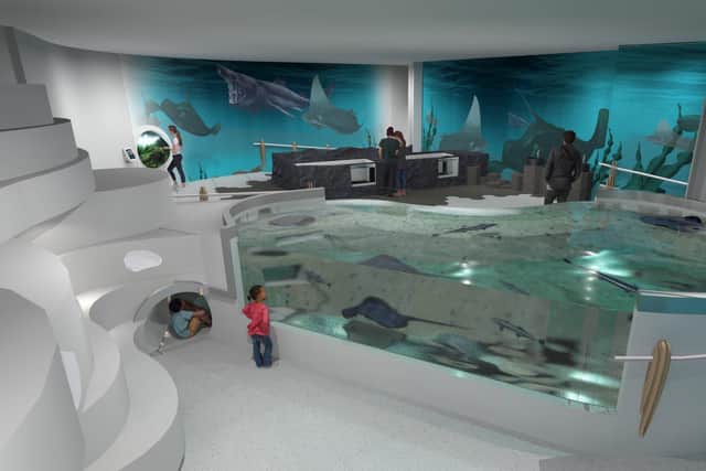 An artist's impression of one of the planned displays in the REEFlive Aquarium to be built in the Titanic Quarter in Belfast.