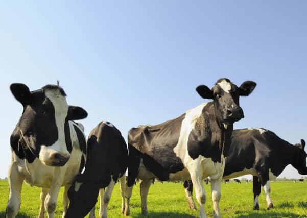 Commission will produce a report on the  impact of a free trade deal on animal welfare and agriculture