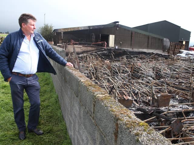 
Farm owner Trevor Shields surveys the scene of devastation as up to 2,000 pigs have been killed in a fire in Kilkeel. Photo: Pacemaker.