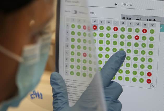 File photo of a scientist viewing a screen showing coronavirus test results, with the red dots a positive sample and the green dots a negative sample