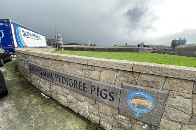 Up to 2,000 pigs have been killed in a fire in Kilkeel, County Down
