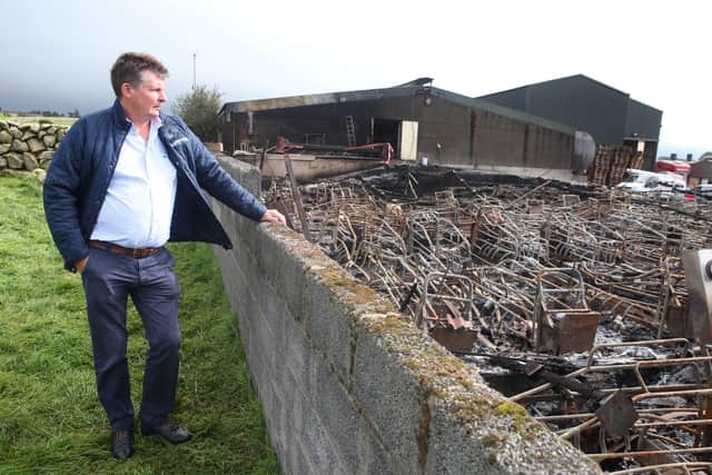 Farm owner Trevor Shields surveys the scene of devastation as up to 2,000 pigs have been killed in a fire in Kilkeel, County Down
