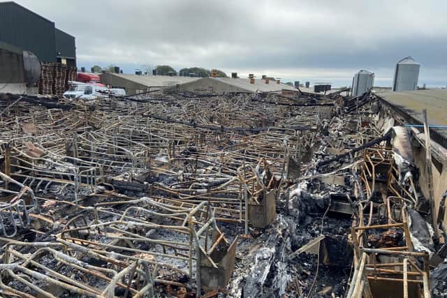 Up to 2,000 pigs have been killed in a fire in Kilkeel, County Down. Pacemaker.